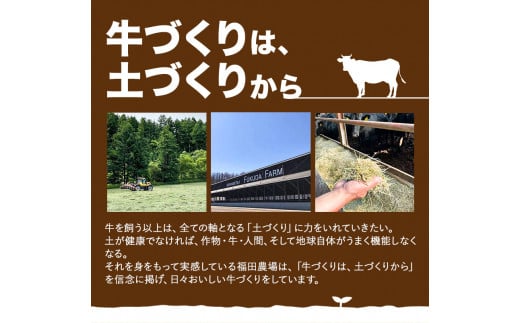 【感動の牛肉】北海道十勝本別町の美蘭牛「福姫」しゃぶしゃぶセット《60日以内に出荷予定》【FF002】---hsh_fhisfhsb_60d_23_25000_600g---