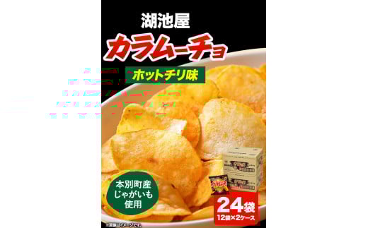 3ヶ月定期便 湖池屋「カラムーチョチップス」12袋×2箱 計3回お届け 《お申込み月の翌月から出荷開始》ポテト ポテトチップス 菓子---hsh_hkkctei_23_40000_mo3num1---