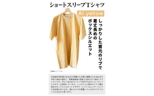 【サイズ：L】温泉水農業廃棄物で染色したショートスリーブＴシャツAIyellow《90日以内に出荷予定(土日祝除く)》---hsh_nsmstaiyw_90d_23_18500_l---