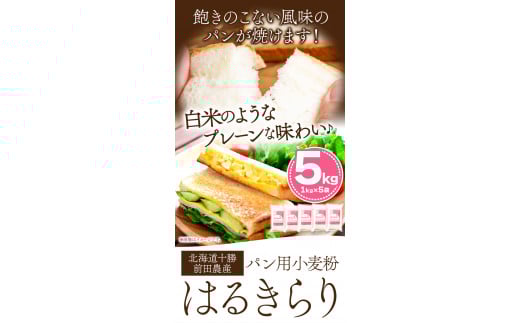 3ヶ月定期便 北海道十勝前田農産パン用小麦粉「はるきらり」5kg 有限会社 十勝太陽ファーム 《お申込み月の翌月から出荷開始》---hsh_tmhktei_22_45000_mo3num1---