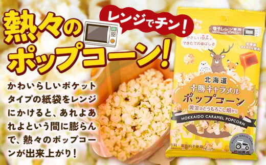 前田農産黄金のとうもろこし電子レンジ専用「十勝キャラメルポップコーン」計10袋 十勝太陽ファーム《60日以内に出荷予定(土日祝除く)》---hsh_tmtkpk_60d_23_10500_10p---