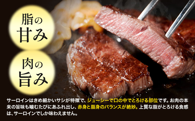 十勝産 黒毛和牛 上方牛 サーロインステーキ 400g(200g×2枚) 上方牧場《30日以内に出荷予定(土日祝除く)》北海道 本別町 肉 ステーキ サーロイン バーベキュー 送料無料---hsh_fkkbjsl_30d_25_25500_400g---