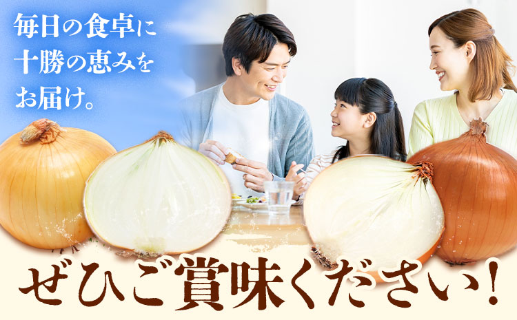 玉ねぎ 10kg パワーウルフ 山下農場《9月中旬-10月末頃出荷》 北海道 本別町 たまねぎ タマネギ 万能 北海道産---hsh_ynbksk_bc910_26_7500_10kgpw---