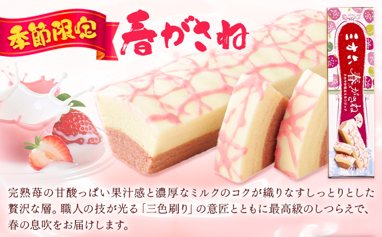 十勝スイーツ 柳月「三方六」詰合せ 春がさね（ さわやか 苺 ＆ ミルクリッチ ）セット プレーン 塩バター 計6本 本別町観光協会 《30日以内に出荷予定(土日祝除く)》 北海道 本別町 十勝 セット バウムクーヘン バームクーヘン スイーツ 贈り物 ギフト---hsh_cchk_30d_26_18500_6p---