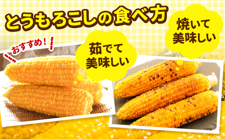 【先行予約】朝採りとうもろこし スーパースィート 「ゴールドラッシュ」 特大サイズ 20本(1本380g以上) Lサイズ 《8月中旬-9月中旬頃出荷》---hsh_csfoni_ad89_25_12500_20p---