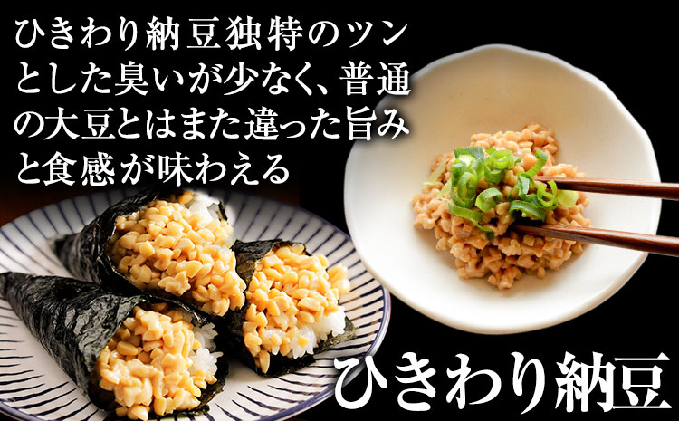 6ヶ月定期便 北海道十勝産大豆 やまぐち醗酵食品 ひきわり納豆 70g×20個セット 合計120個お届け 有限会社やまぐち醗酵食品 《お申込み月の翌月から出荷開始》 北海道 本別町 国産納豆 朝食 納豆 健康 お取り寄せ 定期便 計6回お届け ご飯のお供 送料無料---hsh_fyhhntei_23_75500_mo6num1---