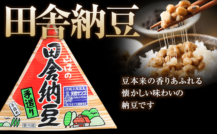 【定期便】計3回お届け 北海道十勝産大豆 やまぐち醗酵食品 田舎三角納豆 70g×15個セット 計45個お届け 有限会社やまぐち醗酵食品《お申込み月の翌月から出荷開始》 国産納豆 朝食 納豆 健康 詰合せ 北海道 本別町 冷凍 定期便 送料無料---hsh_fyhistei_23_35000_ev2mo3num1---