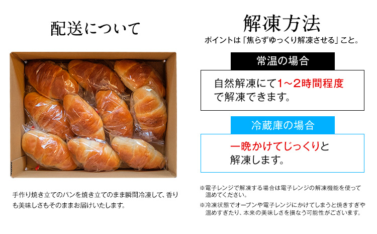 天然酵母 塩パン 10個 セット パン ローカルベーカリー《7-14営業日以内に出荷予定(土日祝除く)》焼きたてを急速冷凍 手作り 天然酵母パン 朝ごはん おやつ 軽食 ランチ 北海道 本別町---hfn_flbsp_wx_25_7000_10p---