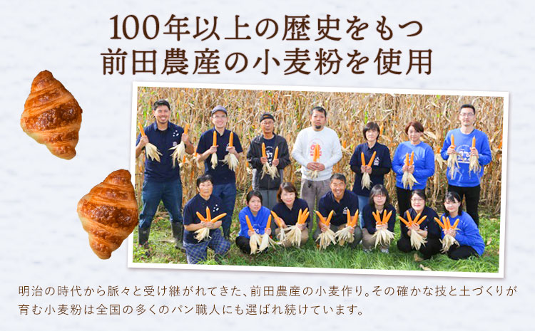 ミニクロワッサン 25個 セット パン ローカルベーカリー《7-14営業日以内に出荷予定(土日祝除く)》急速冷凍 手作り 朝ごはん おやつ 軽食 ランチ 北海道 本別町---hfn_flbmc_wx_25_5500_25p---