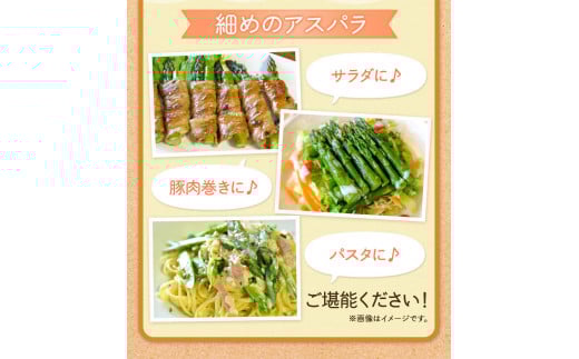 北海道十勝 露地栽培 朝採り直送「季節限定！朝採りアスパラ 1.2kg」本別町農業協同組合 先行予約 アスパラガス 露地 ---hsh_caspara_q5_23_10500_1200g---st-p