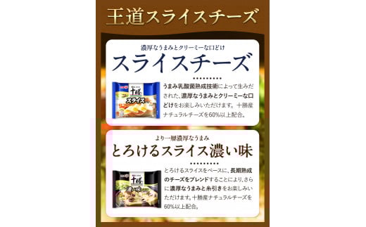 明治北海道十勝チーズセットL(4種) 計6個 本別町観光協会 《60日以内に出荷予定(土日祝除く)》詰め合わせ チーズ カマンベール---hsh_chkmcl_60d_23_12000_4i---