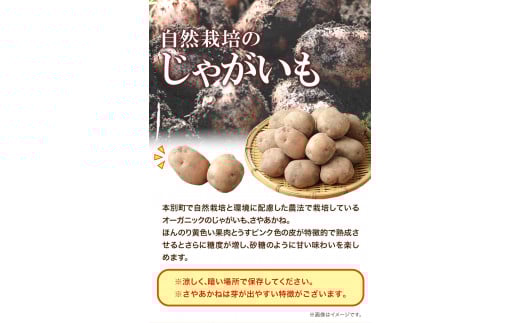 北海道十勝オーガニックじゃがいも7kgサイズS-2L《10月下旬-3月中旬頃出荷》オフイビラ源吾農場さやあかね負箙源吾農場---hsh_cogopt_h103_24_9500_7kg---