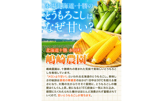 【先行予約】朝採りとうもろこし スーパースィート 「ゴールドラッシュ」 訳あり ご家庭用 12本 《8月上旬-8月末頃出荷》嶋崎農園 ---hsh_csfoni_ad89_25_8000_12p---