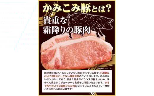 「かみこみ豚」豚丼セット 6パック(900g)篠原精肉店《60日以内に出荷予定(土日祝除く)》豚 肉 豚丼 かみこみ丼 丼 どんぶり ---hsh_fsnkpd_60d_23_20000_6p---