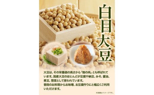 令和7年度産 北海道十勝 本別町産 白目大豆5kg《60日以内に出荷予定(土日祝除く)》本別町農業協同組合 本別町---hsh_hnkes_60d_25_12000_5k---