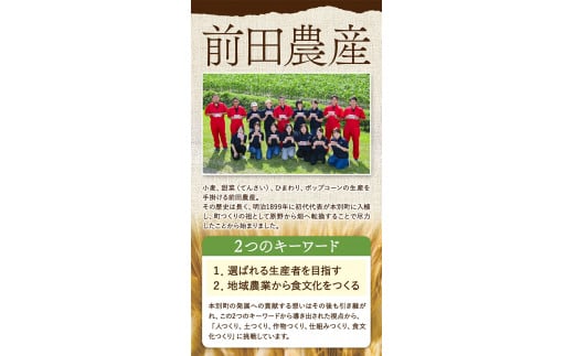 3ヶ月定期便 北海道十勝前田農産パン用小麦粉「はるきらり」5kg 有限会社 十勝太陽ファーム 《お申込み月の翌月から出荷開始》---hsh_tmhktei_22_45000_mo3num1---