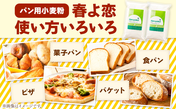 北海道十勝前田農産パン用小麦粉「春よ恋」1kg×10袋 計10袋 有限会社 十勝太陽ファーム 《60日以内に出荷予定(土日祝除く)》---hsh_tmhhkm_60d_23_25000_10kg---st-p