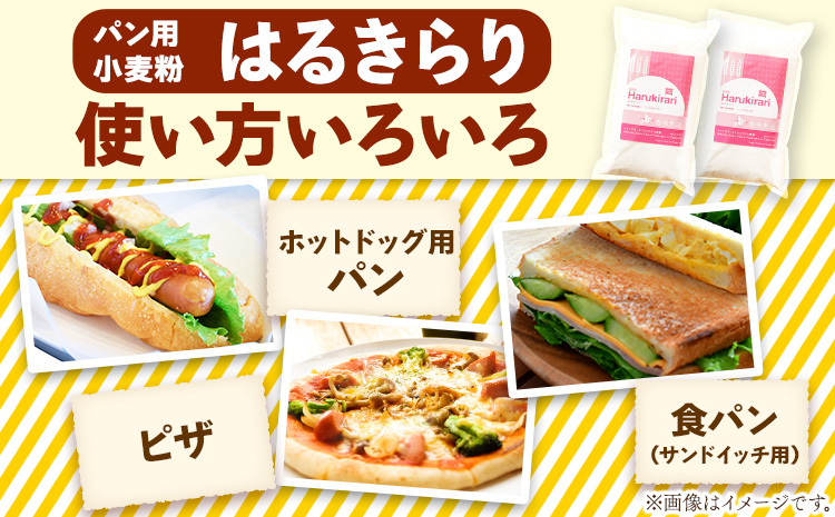 北海道十勝前田農産パン用小麦粉「はるきらり」(1kg×10袋) 有限会社 十勝太陽ファーム 《60日以内に出荷予定(土日祝除く)》---hsh_tmhkkm_60d_23_25000_10kg---