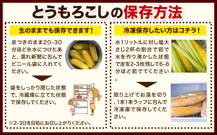 【先行予約】朝採りとうもろこし スーパースィート 「ゴールドラッシュ」 特大サイズ 20本(1本380g以上) Lサイズ 《8月中旬-9月中旬頃出荷》---hsh_csfoni_ad89_25_12500_20p---