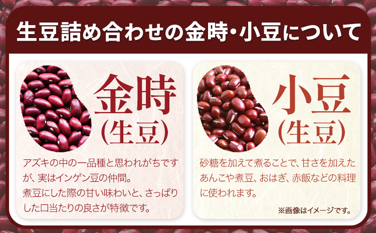 北海道おつまみセット「MameManma焙煎豆」(大豆・黒豆)生豆(小豆・金時)詰め合せ 《60日以内に出荷予定(土日祝除く)》---hsh_hnkmmbmk_60d_23_11500_4i---