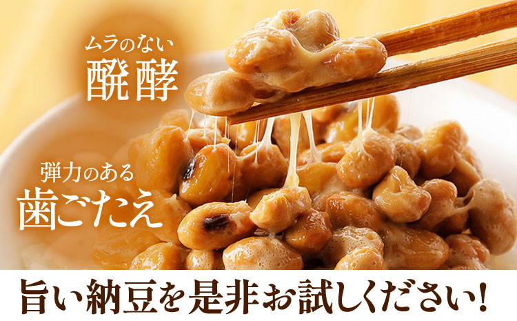 6ヶ月定期便 北海道十勝産大豆 やまぐち醗酵食品 田舎三角納豆 70g×15個セット 計90個お届け 有限会社やまぐち醗酵食品《お申込み月の翌月から出荷開始》 国産納豆 朝食 納豆 健康 詰合せ ご飯のお供 北海道 本別町 冷凍 定期便 計6回お届け 送料無料---hsh_fyhistei_23_75500_mo6num1---