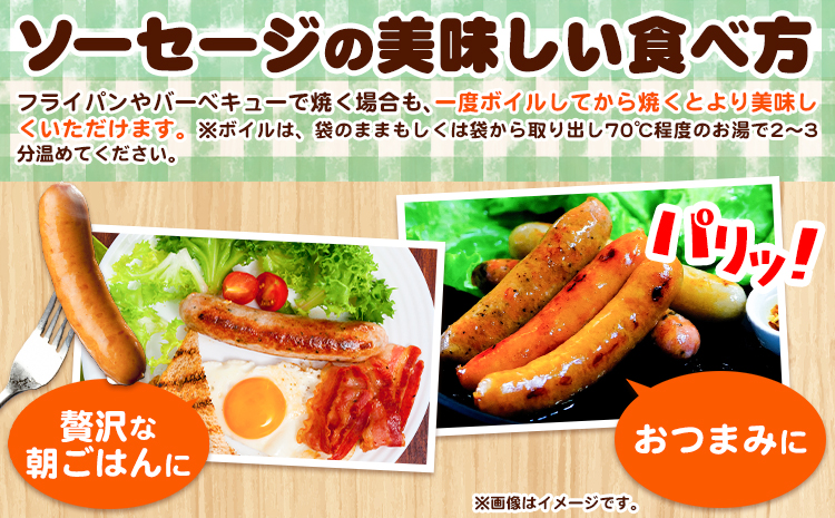 ソーセージ 3種セット 4本入り×3種セット あらびき バジル チョリソー ろうへるんはうすだいさく《45日以内に出荷予定(土日祝除く)》 北海道 本別町 送料無料 ウインナー おつまみ 朝食 ギフト---hsh_rhdsabc_45d_24_9500_3p---