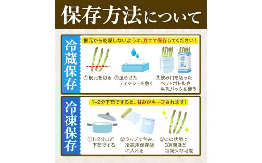 北海道十勝 露地栽培 朝採り直送「季節限定！朝採りアスパラ 1.2kg」本別町農業協同組合 先行予約 アスパラガス 露地 ---hsh_caspara_q5_23_10500_1200g---st-p