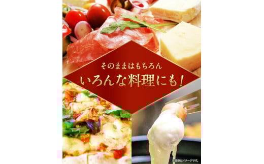 明治北海道十勝チーズセットＨ(3種) 計6個 本別町観光協会 《60日以内に出荷予定(土日祝除く)》 チーズ 十勝 明治 乳製品---hsh_chkmch_60d_23_12000_3i---