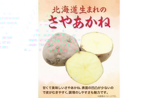 北海道十勝オーガニックじゃがいも7kgサイズS-2L《10月下旬-3月中旬頃出荷》オフイビラ源吾農場さやあかね負箙源吾農場---hsh_cogopt_h103_24_9500_7kg---