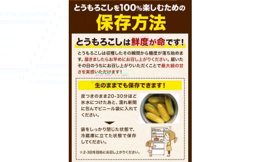 【先行予約】朝採りとうもろこし スーパースィート 「ゴールドラッシュ」 訳あり ご家庭用 12本 《8月上旬-8月末頃出荷》嶋崎農園 ---hsh_csfoni_ad89_25_8000_12p---