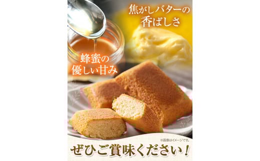 北海道本別高校生が考えたお菓子「本高フィナンシェ」 フィナンシェ 6個入り 有限会社松月堂《60日以内に出荷予定(土日祝除く)》---hsh_csgdfin_60d_23_8500_6p---st-p