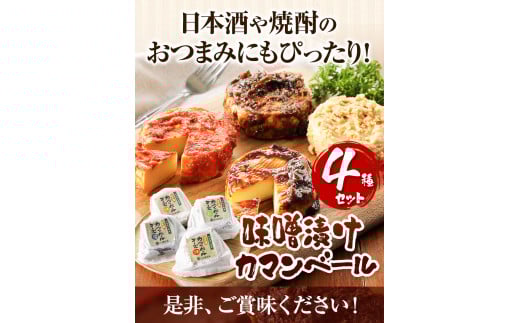北海道十勝発酵食品「味噌漬カマンベール4種」 渋谷醸造株式会社 《60日以内に出荷予定(土日祝除く)》 ---hsh_cszmc_60d_23_18000_4i---