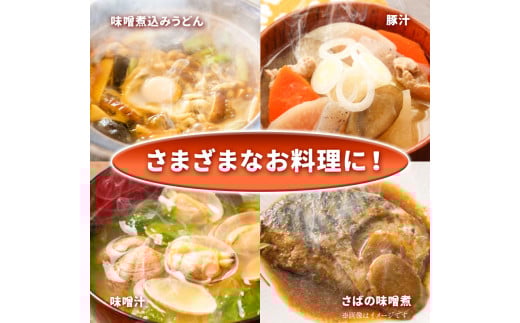 北海道十勝 醗酵食品「味噌三昧セットＡ」5品目お届け（味噌4種と醤油）《60日以内に出荷予定(土日祝除く)》渋谷醸造株式会社 ---hsh_cszmsa_60d_23_16500_5i---