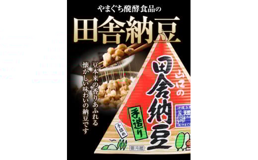 北海道十勝産大豆 やまぐち醗酵食品「田舎三角納豆」70g×15個セット 《30日以内に出荷予定(土日祝除く)》やまぐち醗酵食品---hsh_fyhisn_30d_23_13500_15p---