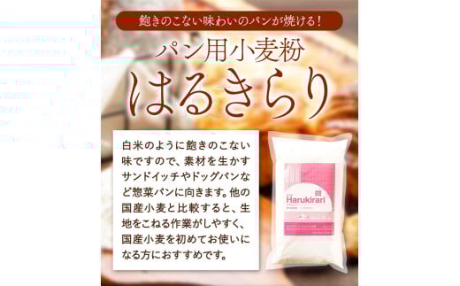 3ヶ月定期便 北海道十勝前田農産パン用小麦粉「はるきらり」5kg 有限会社 十勝太陽ファーム 《お申込み月の翌月から出荷開始》---hsh_tmhktei_22_45000_mo3num1---