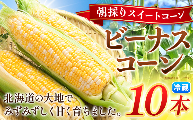 【先行予約】朝採り とうもろこし ビーナスコーン スイートコーン 10本 《2026年8月上旬-8月末頃出荷予定》山下農場 バイカラー 大粒 コーン トウモロコシ 送料無料 北海道 本別町北海道 十勝 本別町産 冷蔵便 甘い---hsh_cynbksk_ac_26_9500_10p---