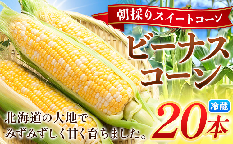 【先行予約】朝採り とうもろこし ビーナスコーン スイートコーン 20本 《2026年8月上旬-8月末頃出荷予定》山下農場 バイカラー 大粒 コーン トウモロコシ 送料無料 北海道 本別町北海道 十勝 本別町産 冷蔵便 甘い---hsh_cynbksk_ac_26_14000_20p---