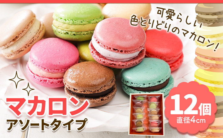 マカロンアソートタイプ 欧風ケーキ工房 かねもり スイーツ デザート 洋菓子 《45日以内に出荷予定(土日祝除く)》---hsh_ckmmra_45d_23_12000_12p---