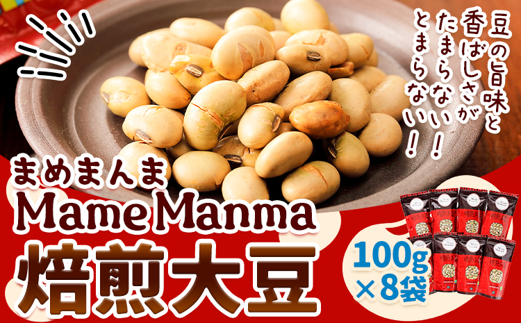 北海道おつまみセット 「MameManma焙煎大豆」(100g×8袋) 本別町農業協同組合 《60日以内に出荷予定(土日祝除く)》---hsh_hnkmmbm_60d_23_13000_7p---