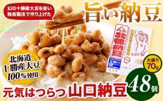 元気はつらつ山口納豆!!(70g48個入り) 有限会社やまぐち醗酵食品 《60日以内に出荷予定(土日祝除く)》 国産納豆 山口納豆---hsh_fyhghyn_60d_23_23500_48p---