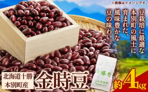 令和5年度産 北海道十勝 本別町産 金時豆 4kg 本別町農業協同組合《60日以内に出荷予定(土日祝除く)》 豆 ---hsh_hnkkm_60d_23_15000_4kg---st-p