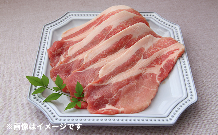 北海道 十勝 かみこみ豚 豚ロース 豚丼セット 4人前（豚ロース150g×4パック・タレ180cc）《足寄町》【両国食堂】 [BEAJ002]