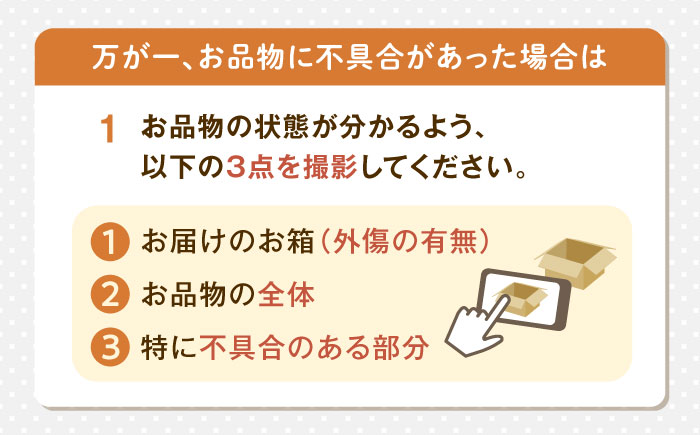 北海道 かぼちゃ 訳あり ダークホース・とっておき・特濃こふき 3種類×1個 《足寄町》【足寄アグリバイオ株式会社】 [BEAC014]