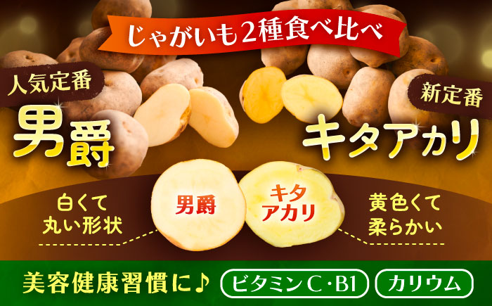 【先行予約】北海道産 じゃがいも 2種食べ比べセット 各5kg（男爵＆キタアカリ）《足寄町》【党崎農場】[BEAA005]