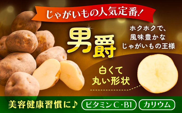 【先行予約】北海道産 じゃがいも 男爵 10kg（LM混合）《足寄町》【党崎農場】[BEAA006]