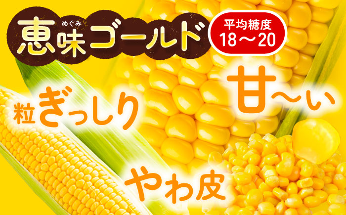 【全2回定期便】とうもろこし（10本）＆じゃがいも（10kg）《足寄町》【党崎農場】[BEAA008]