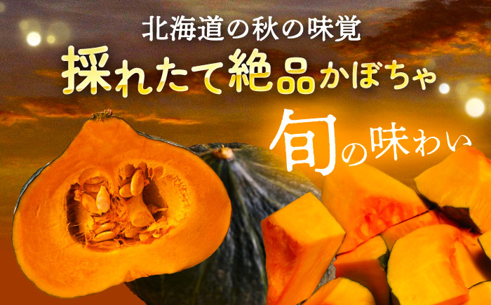 北海道産 じゃがいも＆かぼちゃ 計10kg（じゃがいも6-7kg・かぼちゃ3-4kg）《足寄町》【党崎農場】ジャガイモ じゃがいも 食べ比べ かぼちゃ 野菜 ポテト 芋 イモ いも ハロウィン あしょろ 北海道[BEAA009]