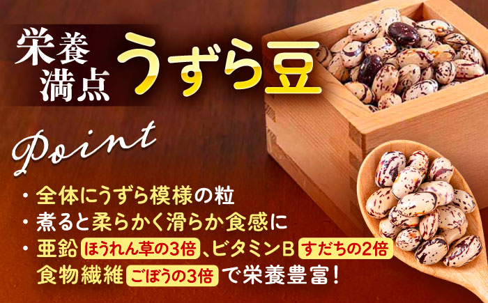 【R7年度産新豆 受付中】北海道 あしょろの中長うずら豆 1kg×2袋《足寄町》【党崎農場】[BEAA022]