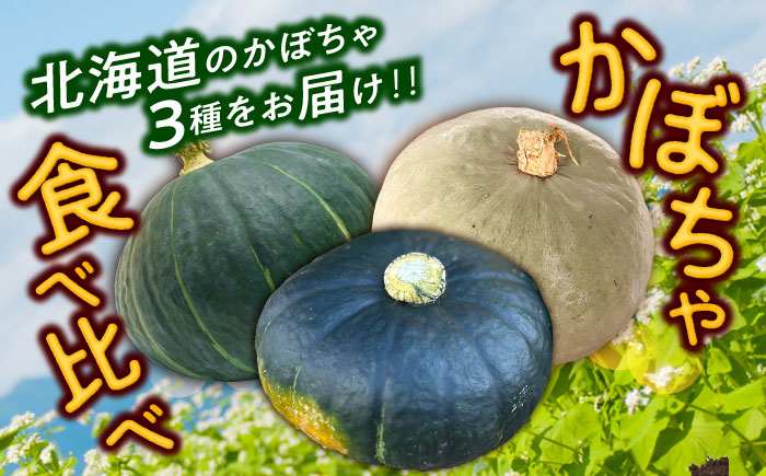 北海道 かぼちゃ ダークホース・とっておき・特濃こふき 3種類×1個 《足寄町》【足寄アグリバイオ株式会社】 [BEAC012]