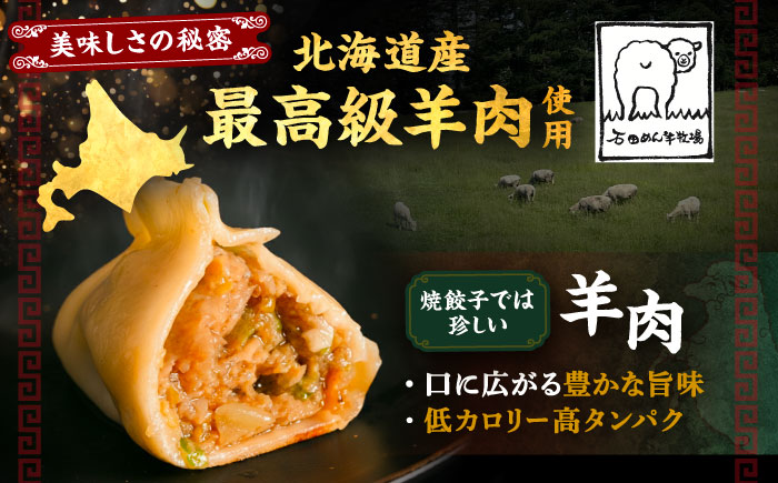 北海道産 羊肉 焼餃子 25個×2 《足寄町》【石田めん羊牧場】[BEAD018]